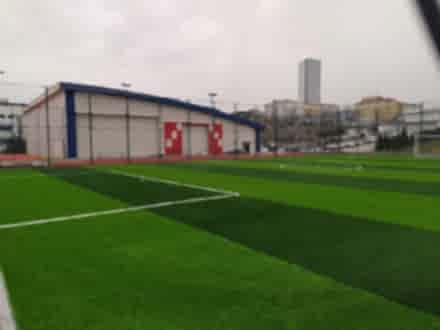 ÇİFT RENK SUNİ ÇİM HALI 